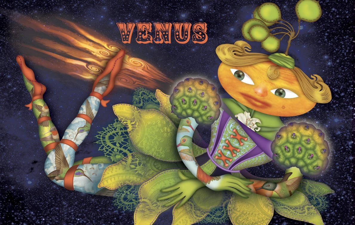 <p><b>Venus</b></p> <p>25